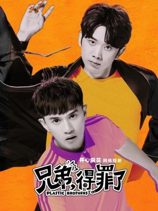 兄弟,得罪了!作品海报