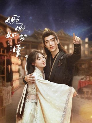婉婉如梦霄作品海报