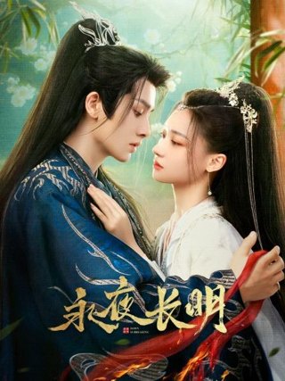 永夜长明作品海报