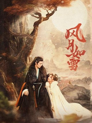 风月如雪作品海报