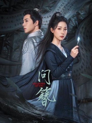 问簪作品海报