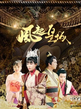 风起皇城作品海报