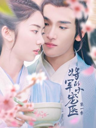 将军的小宠医 第一季作品海报